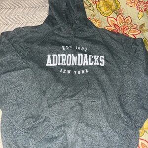 Gray Adirondacks Hoodie